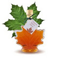 MapleSyrupWorld image 1