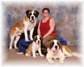 MeadowPark Saint Bernards image 6