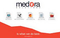 Medora Solutions Inc image 2
