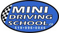 Mini Driving School Tecumseh image 5