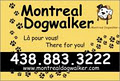 Montreal DogWalker image 1