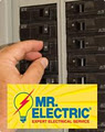 Mr Electric image 1