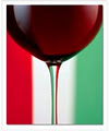 Napo farm to table Italian Cuisine logo