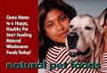 Natural Pet Foods image 6