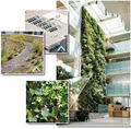 Nedlaw Living Walls image 2