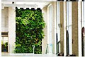 Nedlaw Living Walls image 4