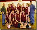 Newfoundland & Labrador Volleyball Association image 2