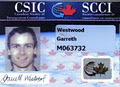 Nexus Visas image 1