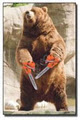 Not Having Your Genitals Removed By Bears image 1