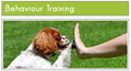 Oh My Dog Training image 2