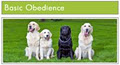 Oh My Dog Training image 1