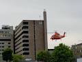 Ornge image 4