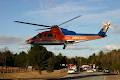 Ornge image 6