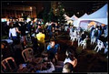 Ottawa Fringe Festival image 1