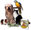 Our Furry Friends image 1