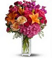 Parsons' Florist image 5