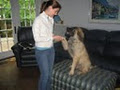 Paws 4 Fun Dog Training image 3