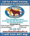 Pawsitive Results - Your Traveling Dog Trainer image 2