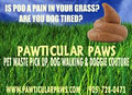 Pawticular Paws image 2