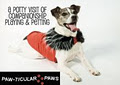 Pawticular Paws image 4