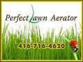 Perfect Lawn Aerator image 3