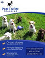 Pest To Pet Training logo