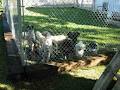 Prairieland Kennels image 5