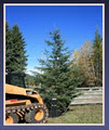 RPM Contracting - Tree Moving, Bobcat and Trucking Services logo