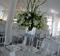 Rachel A. Clingen Wedding and Event Design & Decor image 3