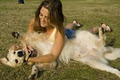 Richmond Hill Dog Walking & Pet Services image 5