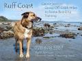 Ruff Coast logo