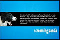 Screaming Panda Design logo