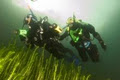 Scuba Stu's Underwater Adventures Ltd image 2