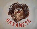 Sew 'n Sew o/a Dog Supplies Site image 4