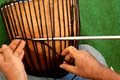 Shaw Percussion image 4