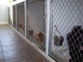 Shillington Kennels image 2