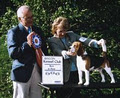 Shillington Kennels image 5