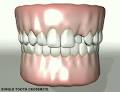 Shine Dental image 2