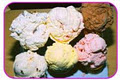 Slickers County Ice Cream Ltd image 2