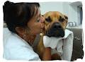 Spa Doggy Style image 3