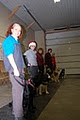 Sparkwatch Dog Training image 1