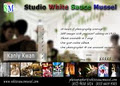 Studio White Sauce Mussel logo