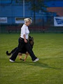 SuperK9s.com image 1