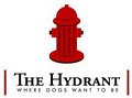 The Hydrant image 6