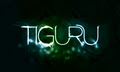 Tiguru | DJ For Corporate & Private Events logo