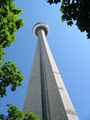 Toronto-Bin-Rentals.com image 4