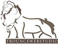 Trounce Web Studio logo