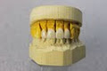 Turner Dental Laboratory Ltd image 5