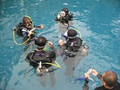 Vancouver Diving - Scuba dive guide in Vancouver and British Columbia area. logo