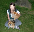 Vancouver Small Dog Services logo